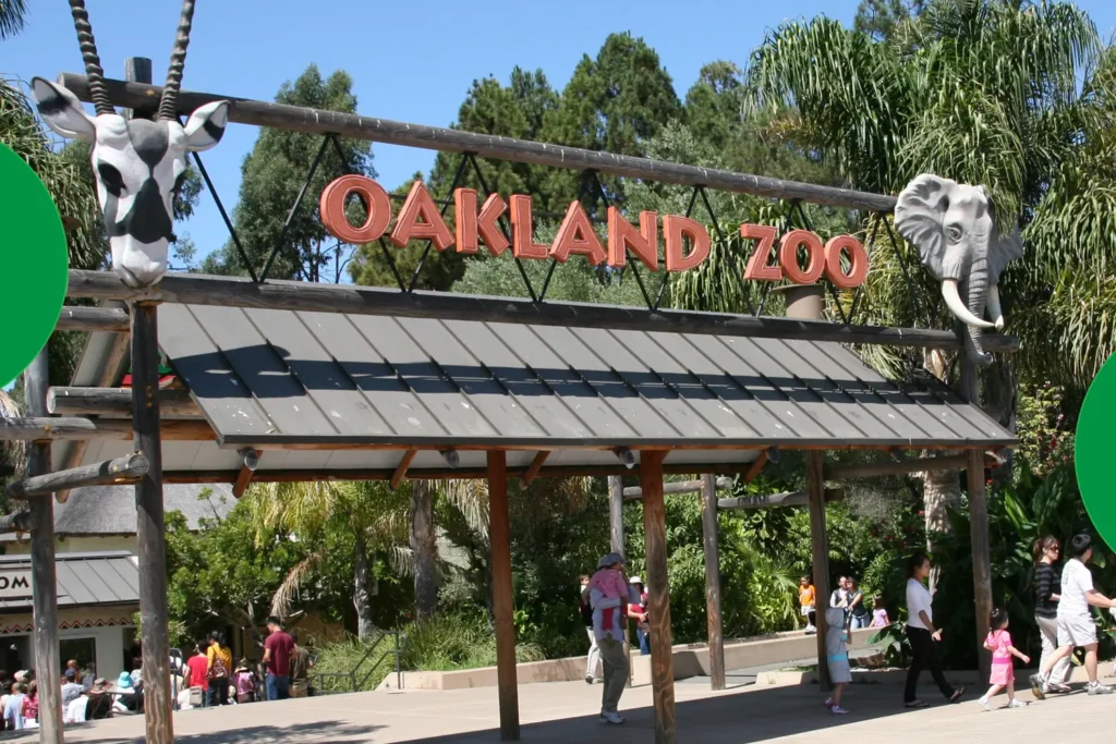 Oakland Zoo: Your Wild Ticket to Adventure in the Hills