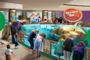 Skyline of Atlanta at sunset with locals enjoying a street market, live music, and food trucks—highlighting authentic, off-the-beaten-path experiences