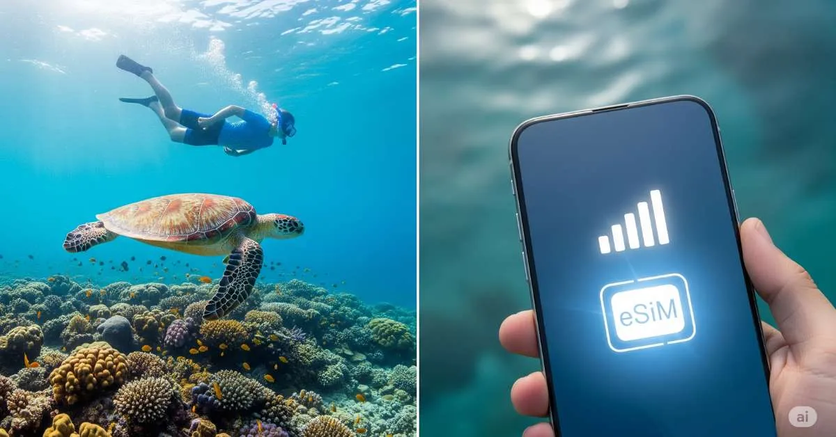 The Best Beaches in Maldives for Snorkelling and eSIM for Travel