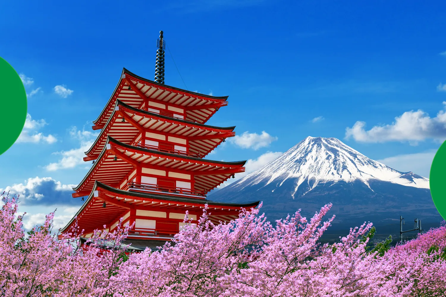 Best Time to Visit Japan from India: A Complete Guide for Every Traveler 🌸🍣🎌