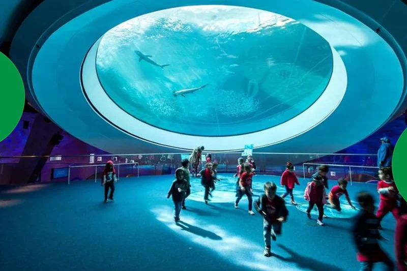 Miami Sites of Interest: The Ultimate Fun, Sun-Soaked Guide to the Magic City