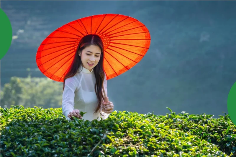 Vietnam Tet 2026: What I Wish Someone Had Told Me (+ The Best eSIM to Buy Before You Fly)