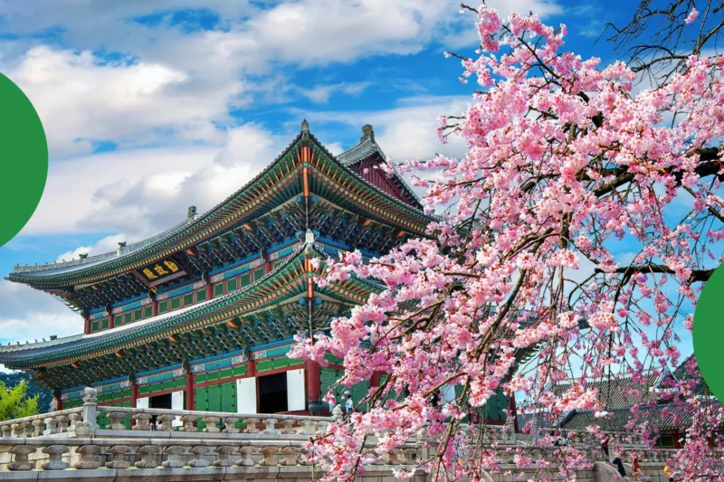 Chuseok in South Korea: Travel Guide & Staying Connected During Korea’s Biggest Holiday