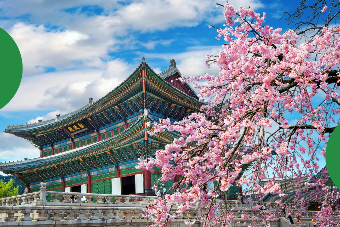 Best eSIM for South Korea from India