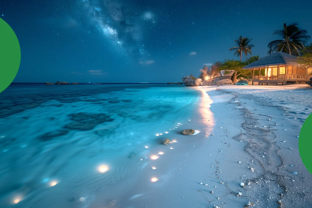 Bioluminescent Beaches 3 1024x683